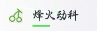合作伙伴